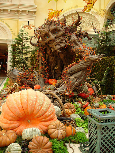 Post image for Bellagio Seasonal Display | Picture Las Vegas
