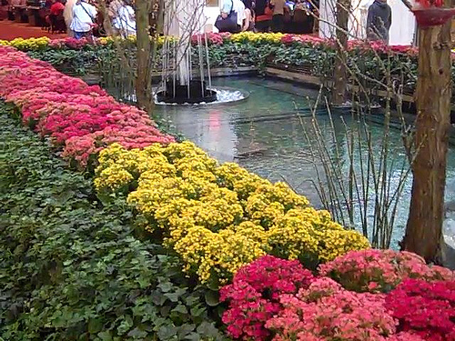 Post image for The Venetians flower Display | Picture Las Vegas
