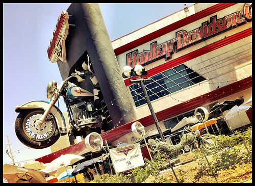 Post image for Harley Davidson | Picture Las Vegas