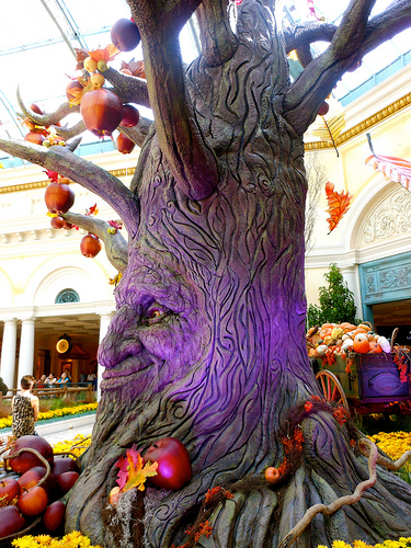 Post image for Tree at The Bellagio | Picture Las Vegas